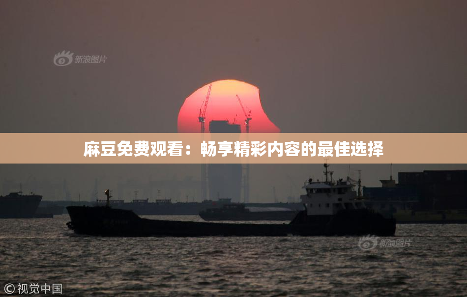 麻豆免费观看：畅享精彩内容的最佳选择