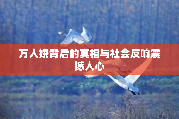 万人嫌背后的真相与社会反响震撼人心