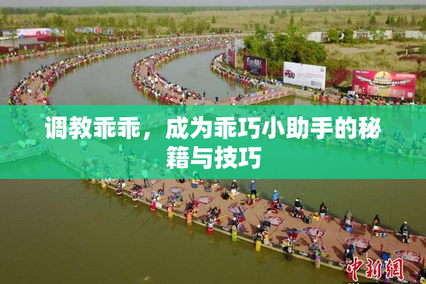 调教乖乖，成为乖巧小助手的秘籍与技巧