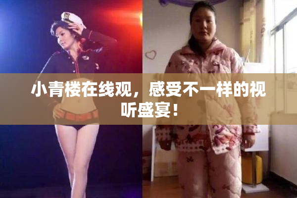 小青楼在线观，感受不一样的视听盛宴！