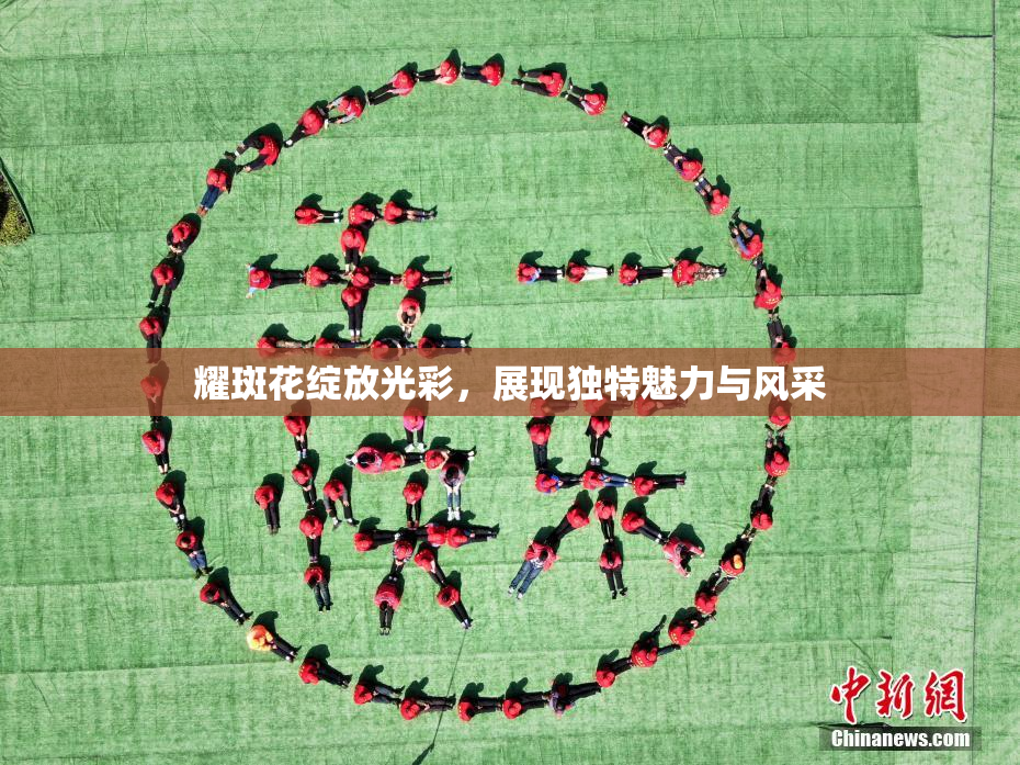 耀斑花绽放光彩，展现独特魅力与风采