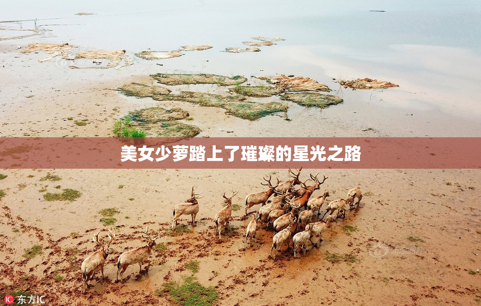 美女少萝踏上了璀璨的星光之路