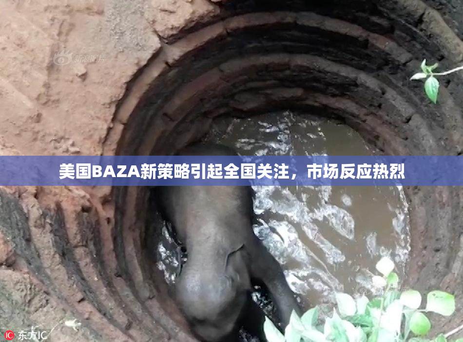 美国BAZA新策略引起全国关注，市场反应热烈
