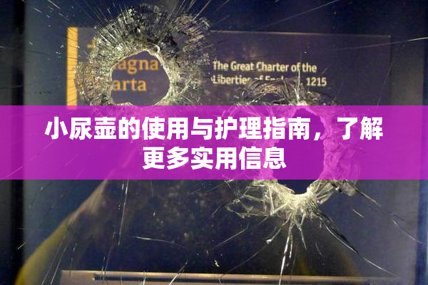 小尿壶的使用与护理指南，了解更多实用信息