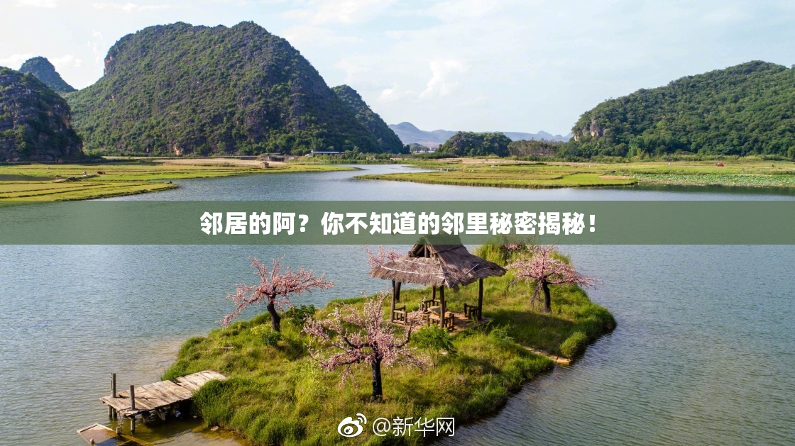 邻居的阿？你不知道的邻里秘密揭秘！