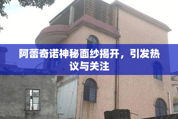阿蕾奇诺神秘面纱揭开，引发热议与关注