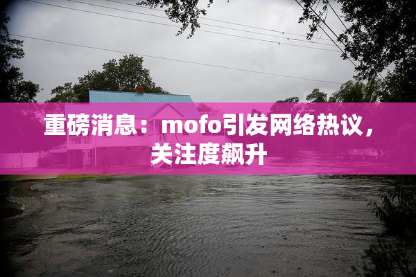 重磅消息：mofo引发网络热议，关注度飙升