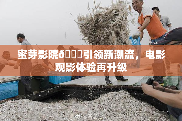 蜜芽影院🔞引领新潮流，电影观影体验再升级