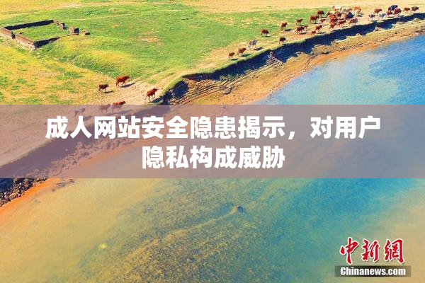 成人网站安全隐患揭示，对用户隐私构成威胁