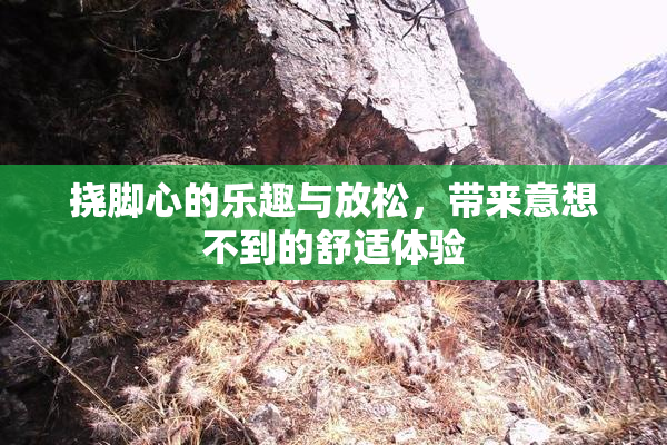 挠脚心的乐趣与放松，带来意想不到的舒适体验