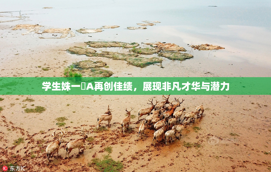 学生姝一﨤A再创佳绩，展现非凡才华与潜力