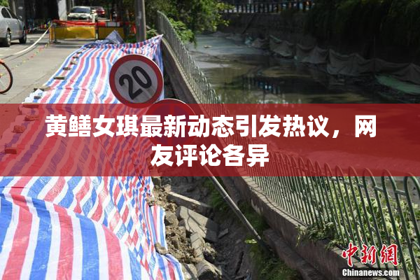 黄鳝女琪最新动态引发热议，网友评论各异