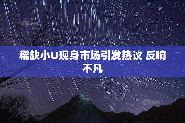 稀缺小U现身市场引发热议 反响不凡