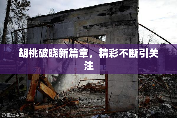 胡桃破晓新篇章，精彩不断引关注
