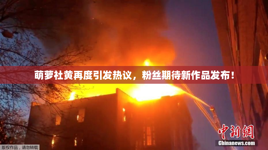 萌萝社黄再度引发热议，粉丝期待新作品发布！