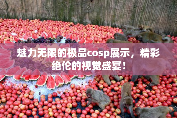 魅力无限的极品cosp展示，精彩绝伦的视觉盛宴！