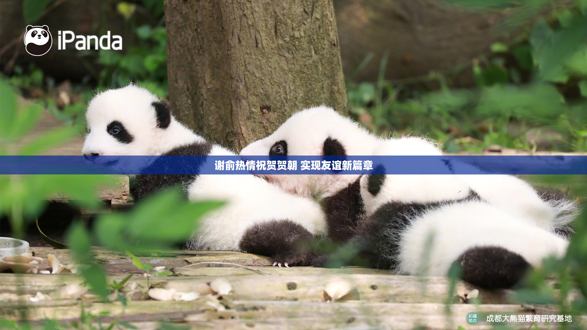 谢俞热情祝贺贺朝 实现友谊新篇章