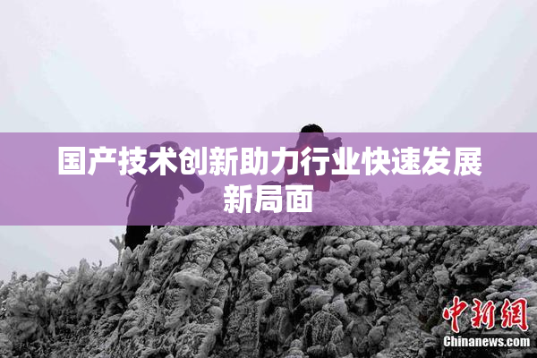 国产技术创新助力行业快速发展新局面