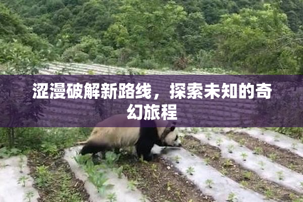 涩漫破解新路线，探索未知的奇幻旅程