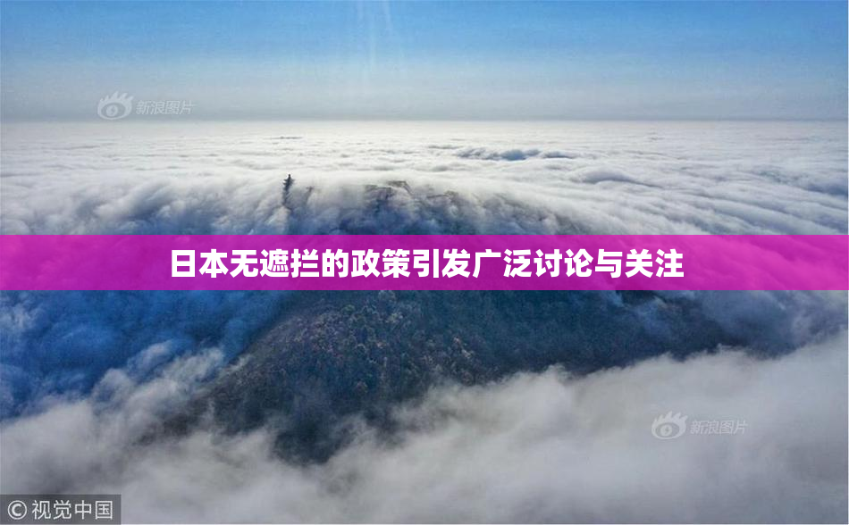 日本无遮拦的政策引发广泛讨论与关注
