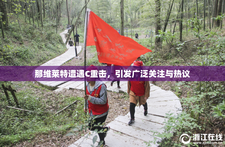 那维莱特遭遇C重击，引发广泛关注与热议