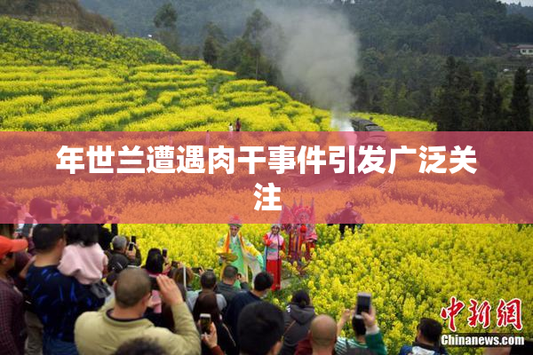 年世兰遭遇肉干事件引发广泛关注