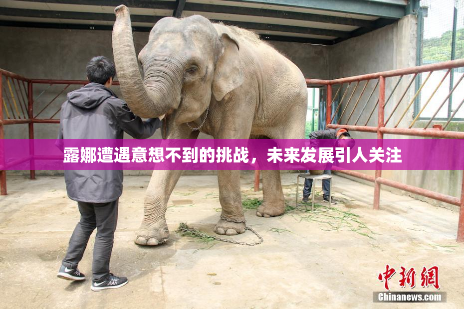 露娜遭遇意想不到的挑战，未来发展引人关注