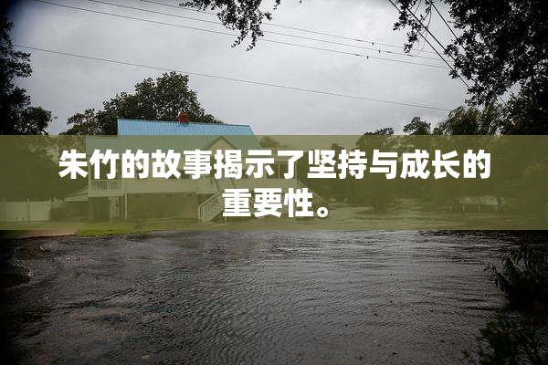 朱竹的故事揭示了坚持与成长的重要性。