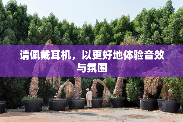 请佩戴耳机，以更好地体验音效与氛围