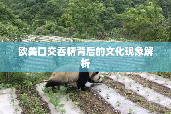 欧美口交吞精背后的文化现象解析
