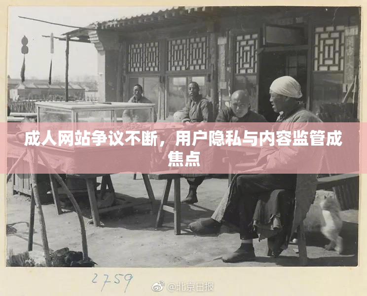 成人网站争议不断，用户隐私与内容监管成焦点