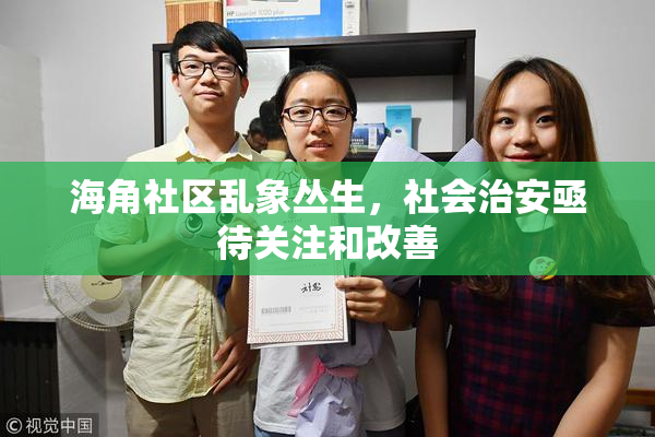 海角社区乱象丛生，社会治安亟待关注和改善