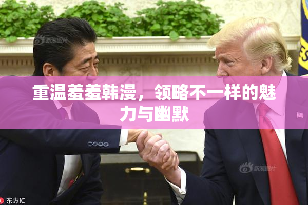 重温羞羞韩漫，领略不一样的魅力与幽默