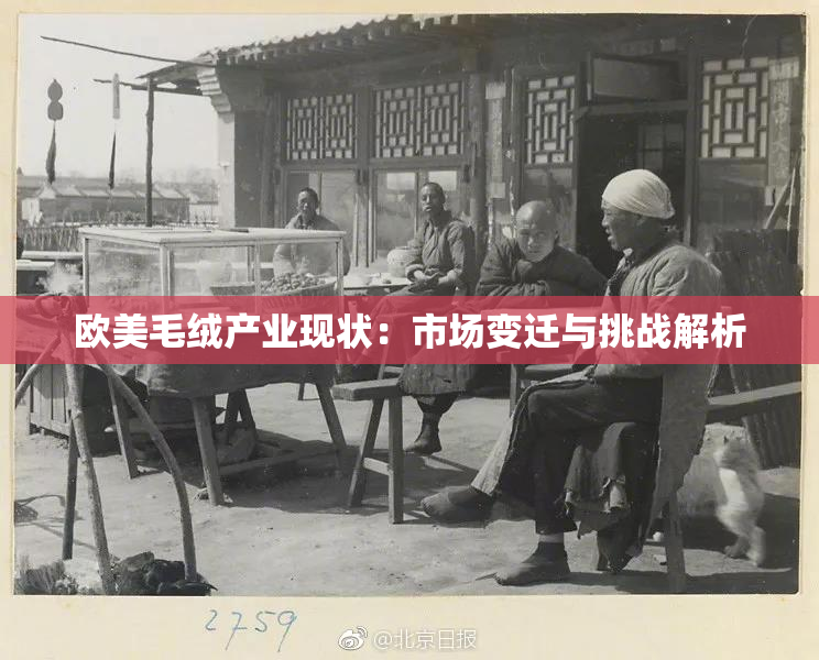 欧美毛绒产业现状：市场变迁与挑战解析