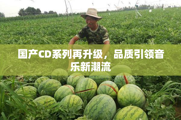 国产CD系列再升级，品质引领音乐新潮流