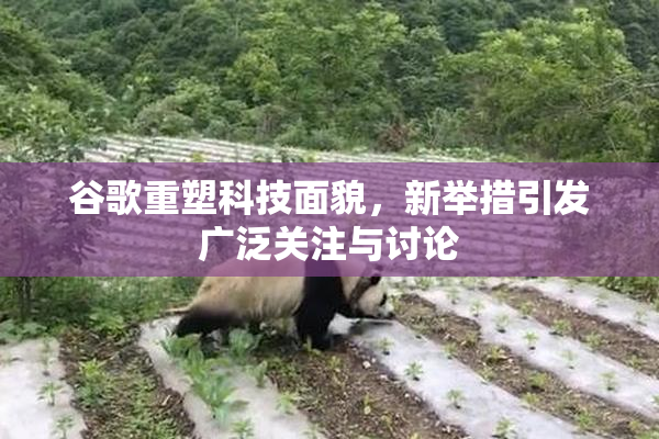 谷歌重塑科技面貌，新举措引发广泛关注与讨论