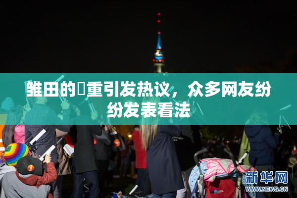 雏田的婬重引发热议，众多网友纷纷发表看法