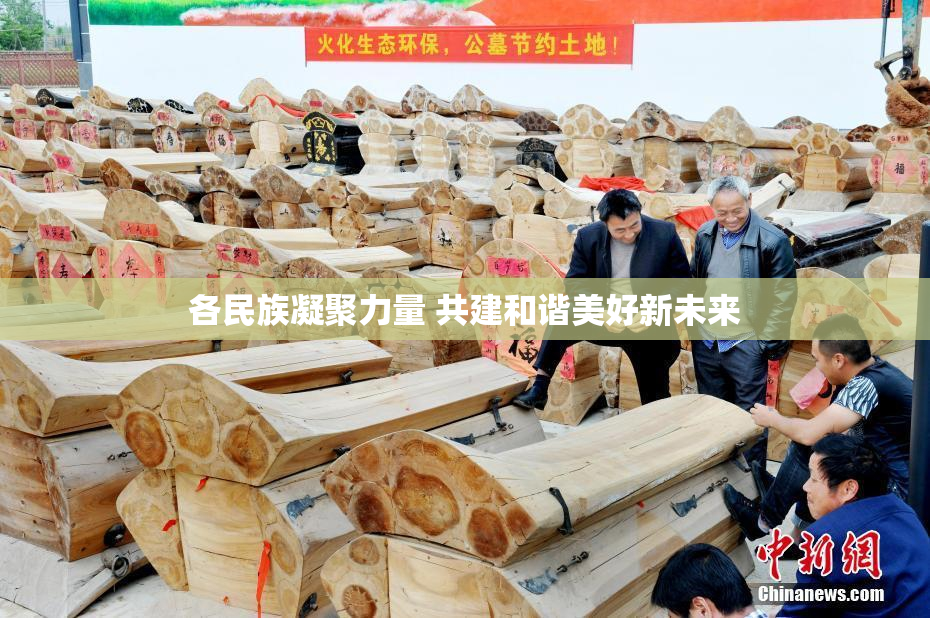各民族凝聚力量 共建和谐美好新未来
