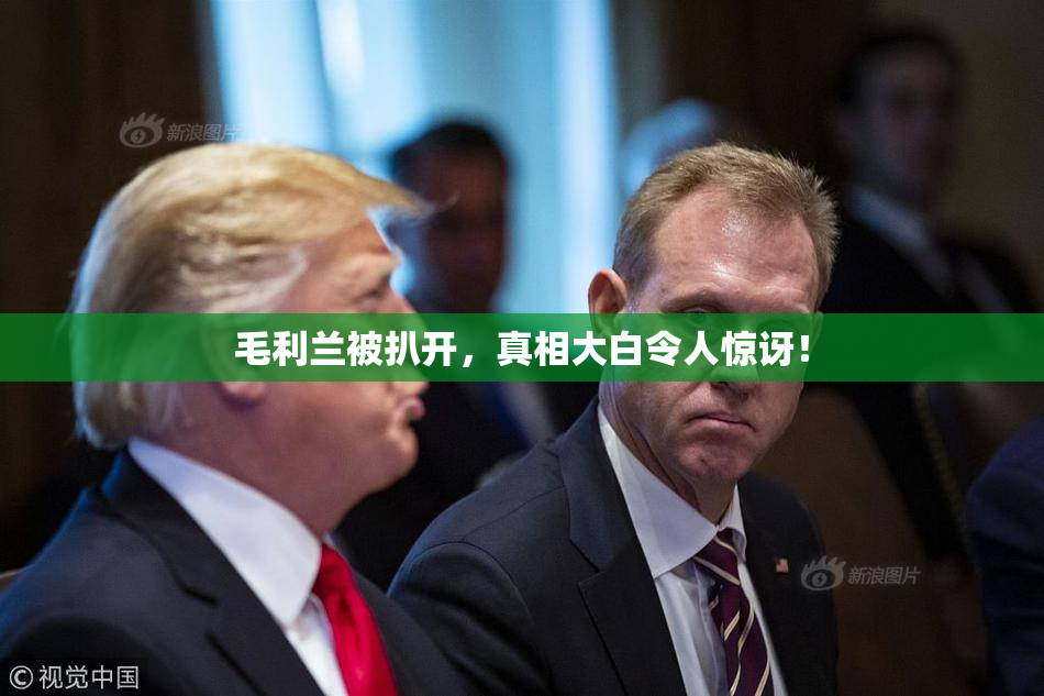毛利兰被扒开，真相大白令人惊讶！