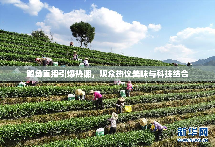 鲍鱼直播引爆热潮，观众热议美味与科技结合