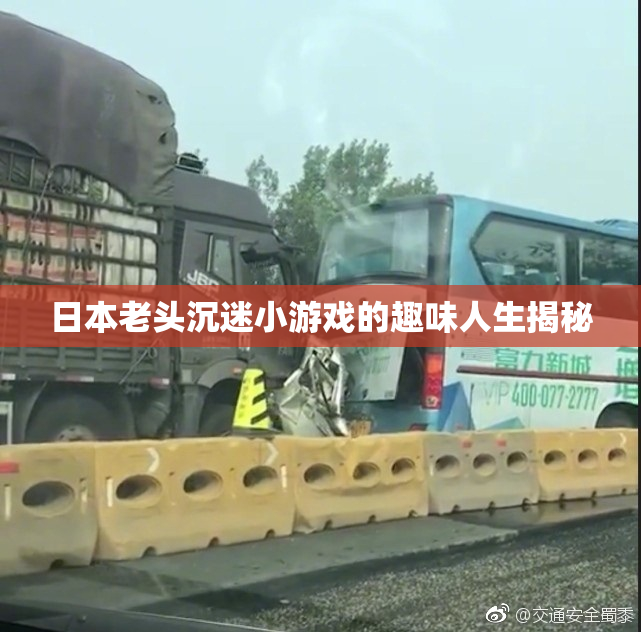 日本老头沉迷小游戏的趣味人生揭秘