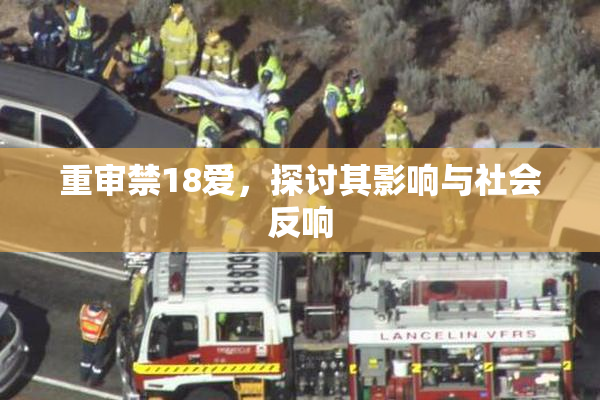重审禁18爱，探讨其影响与社会反响