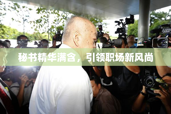 秘书精华满含，引领职场新风尚