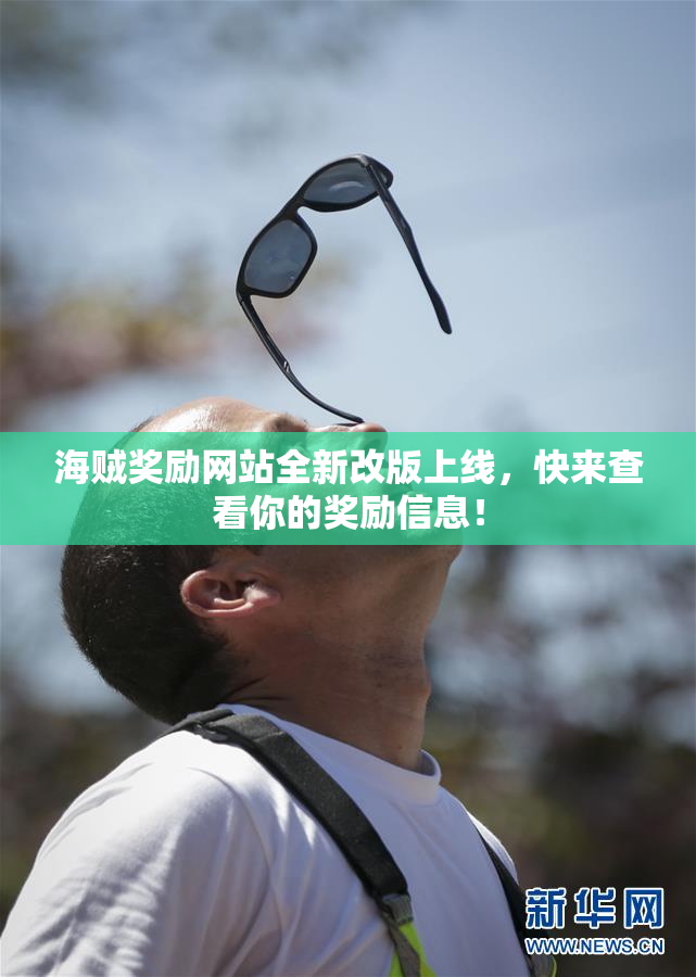 海贼奖励网站全新改版上线，快来查看你的奖励信息！