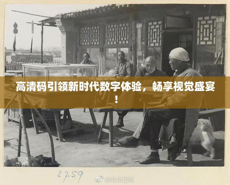 高清码引领新时代数字体验，畅享视觉盛宴！