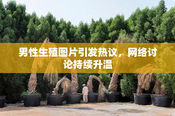 男性生殖图片引发热议，网络讨论持续升温