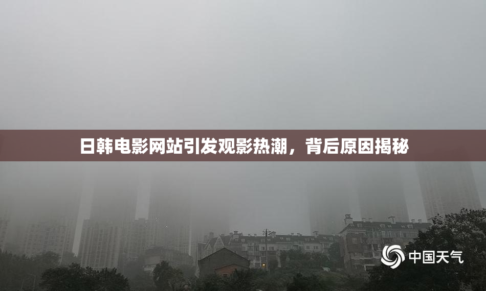 日韩电影网站引发观影热潮，背后原因揭秘