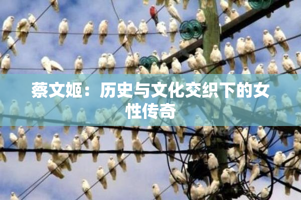 蔡文姬：历史与文化交织下的女性传奇