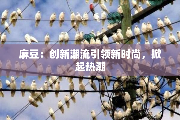 麻豆：创新潮流引领新时尚，掀起热潮