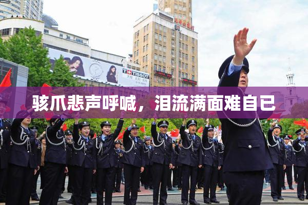 骇爪悲声呼喊，泪流满面难自已